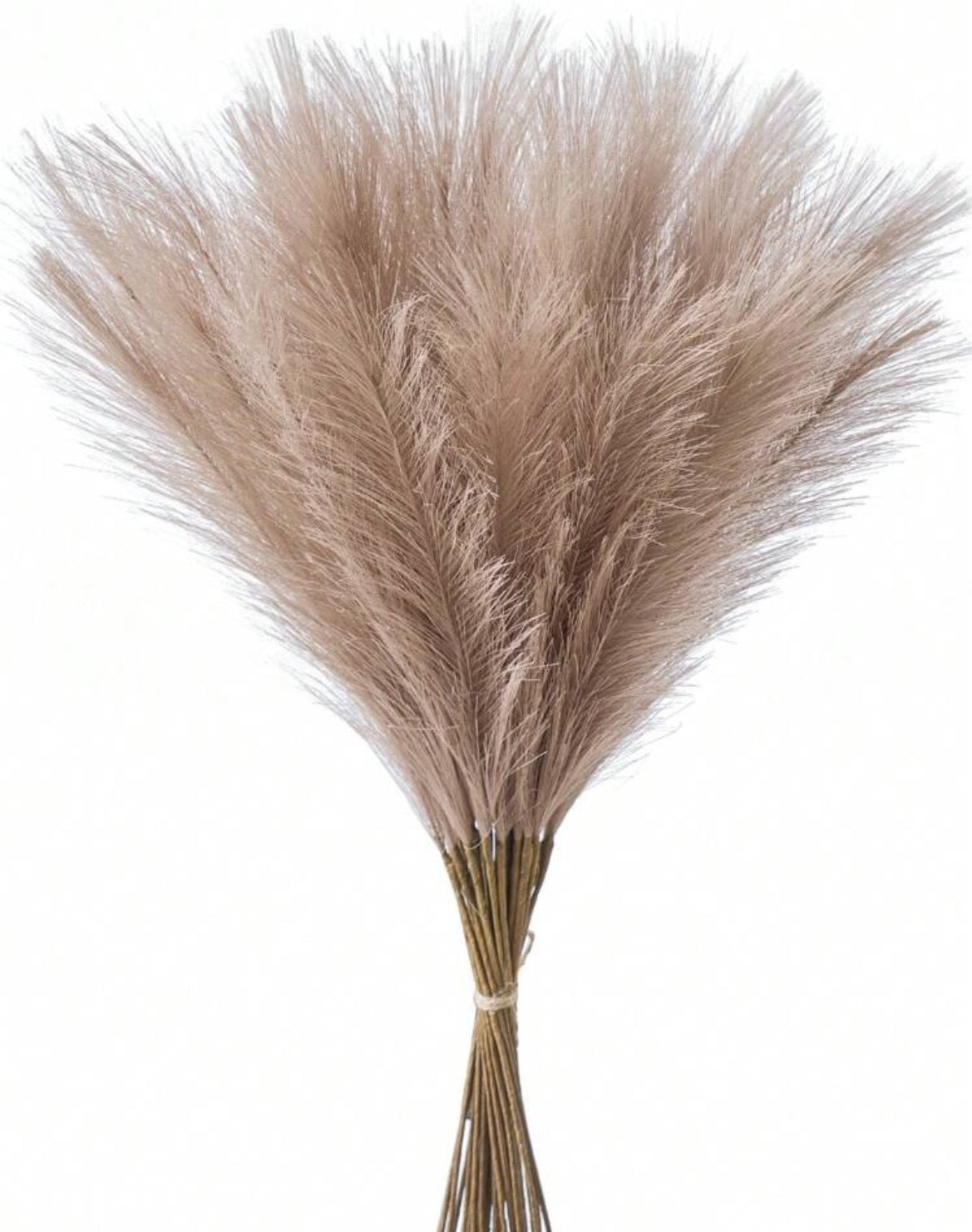 Faux Pampas Grass