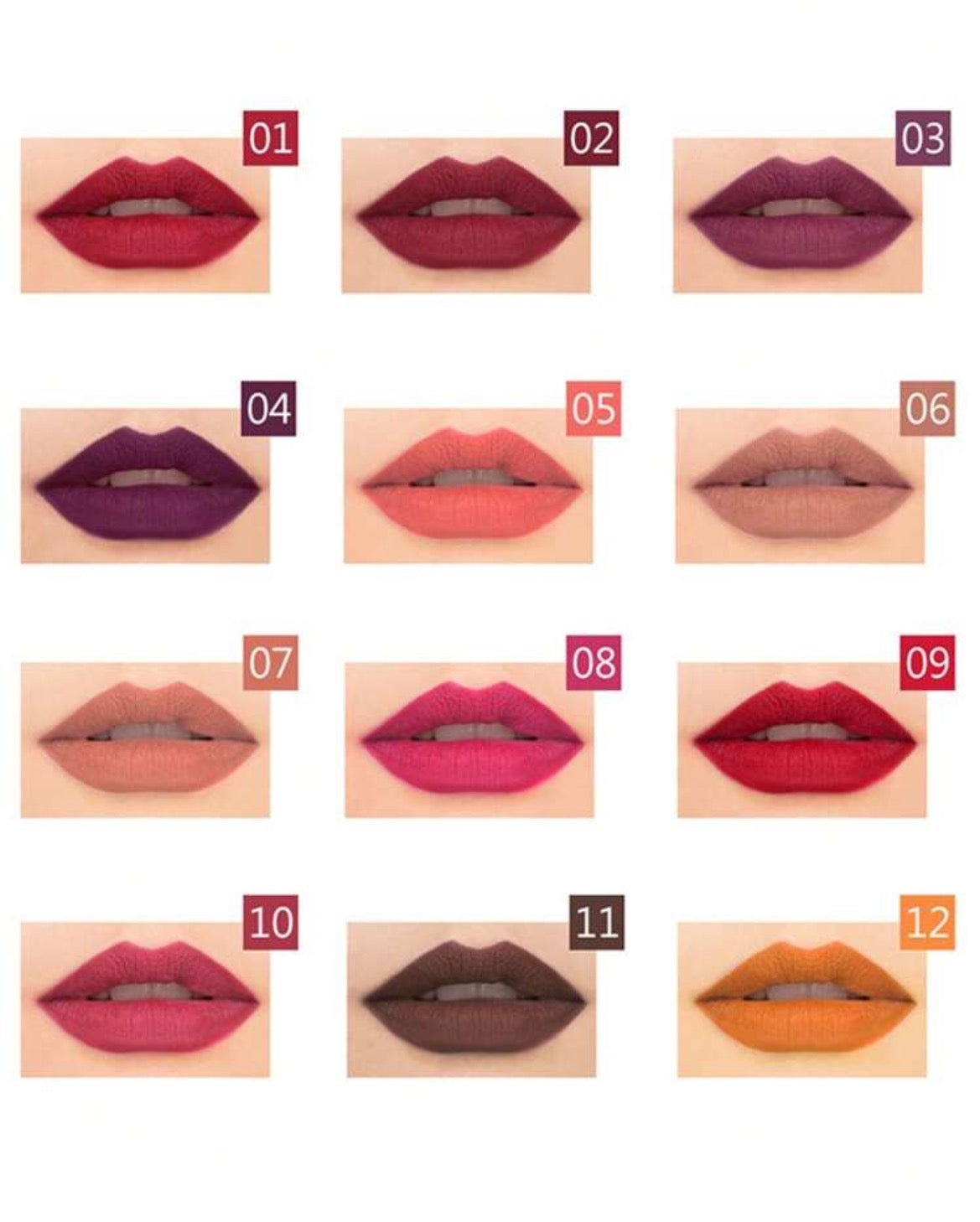 Assorted 12pack Lip Liners