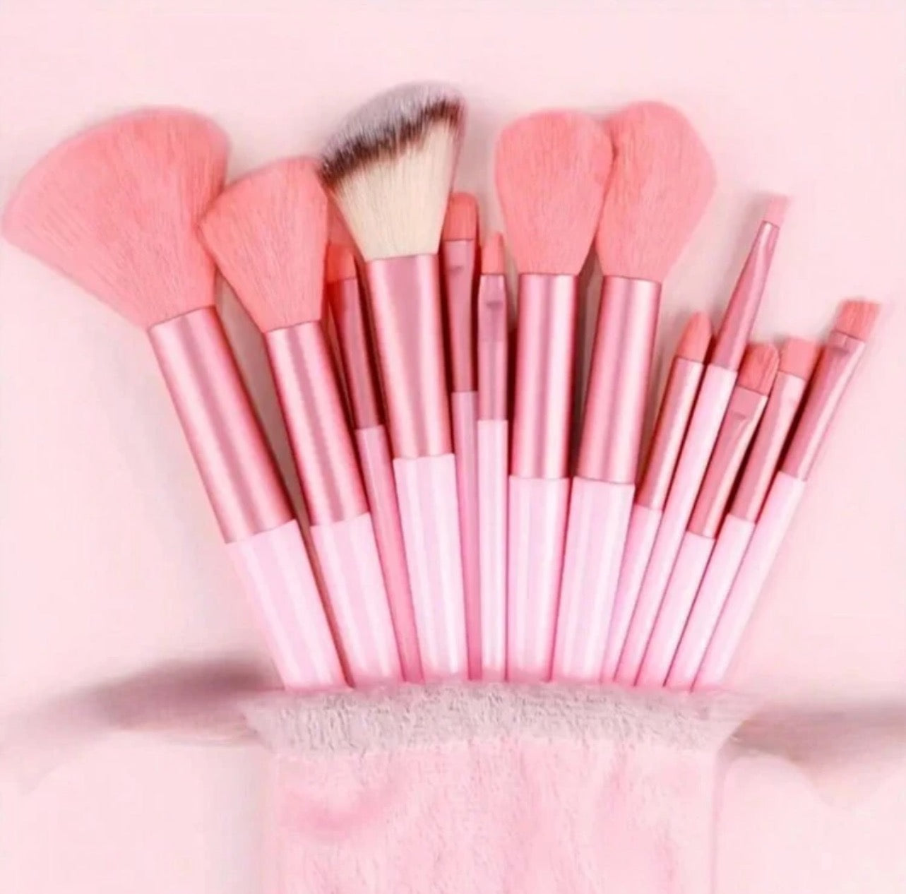 13pc Pink Brush Set W/Bag