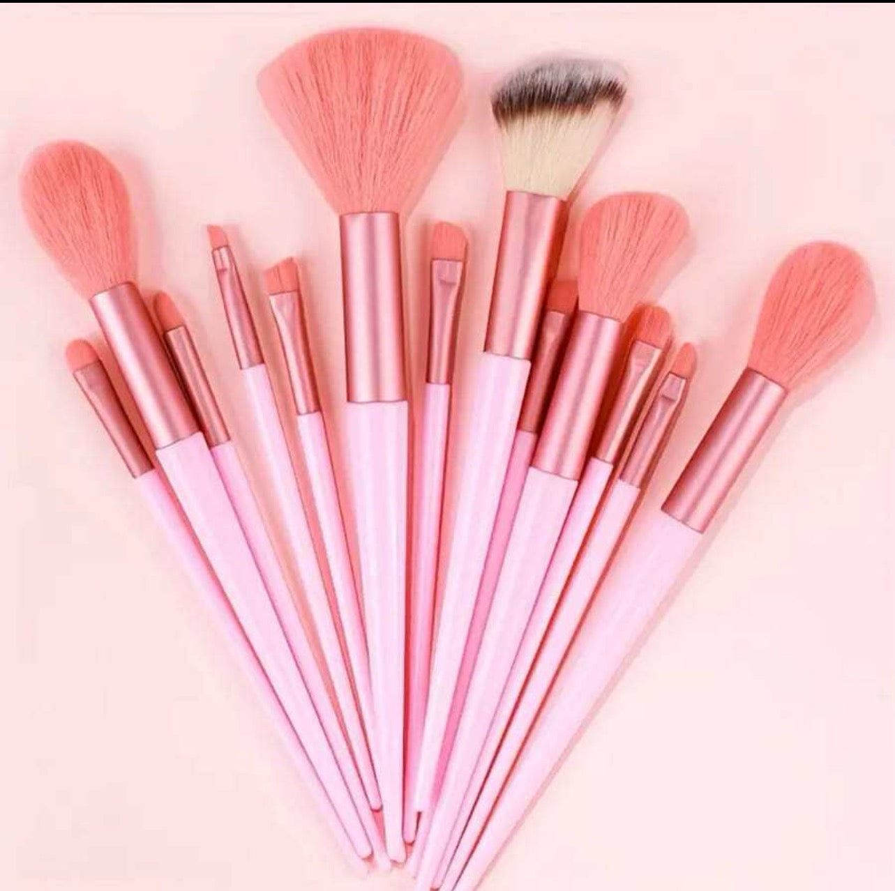 13pc Pink Brush Set W/Bag